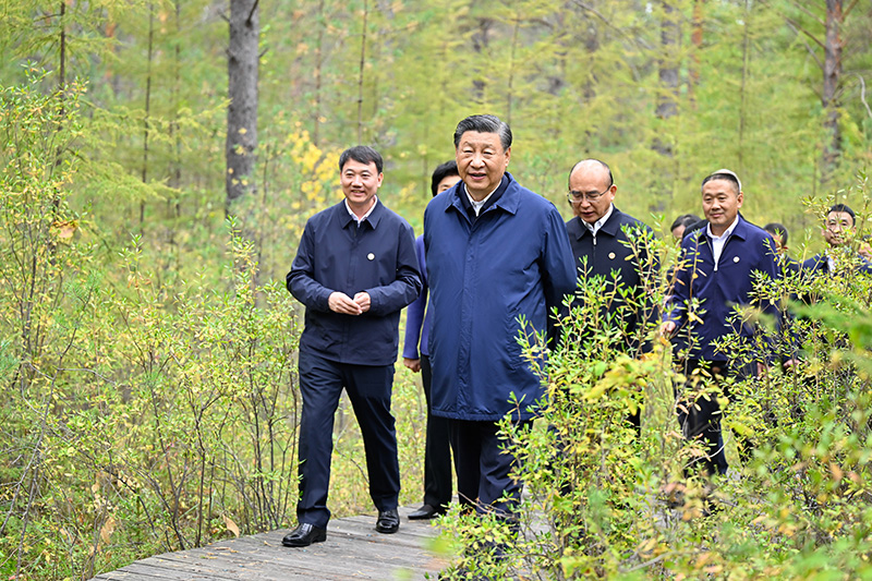 9月6日至8日，中共中央總書記、國家主席、中央軍委主席習近平在黑龍江考察。這是6日下午，習近平在大興安嶺地區(qū)漠河市漠河林場自然林區(qū)考察